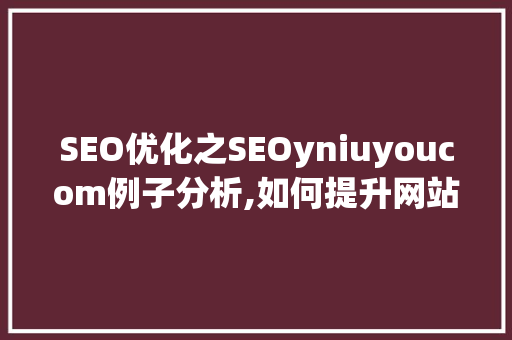 SEO优化之SEOyniuyoucom例子分析,如何提升网站排名与用户体验