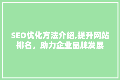 SEO优化方法介绍,提升网站排名，助力企业品牌发展