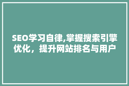 SEO学习自律,掌握搜索引擎优化，提升网站排名与用户体验