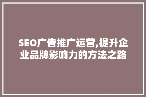 SEO广告推广运营,提升企业品牌影响力的方法之路