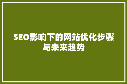 SEO影响下的网站优化步骤与未来趋势