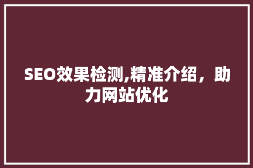 SEO效果检测,精准介绍，助力网站优化