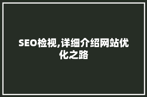 SEO检视,详细介绍网站优化之路