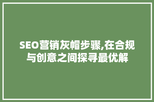 SEO营销灰帽步骤,在合规与创意之间探寻最优解  第1张