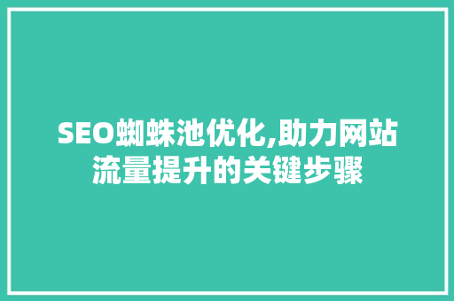 SEO蜘蛛池优化,助力网站流量提升的关键步骤  第1张