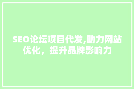 SEO论坛项目代发,助力网站优化，提升品牌影响力