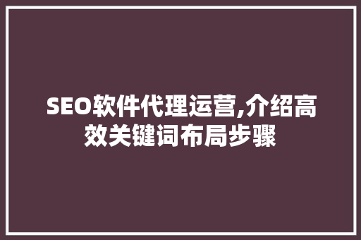 SEO软件代理运营,介绍高效关键词布局步骤