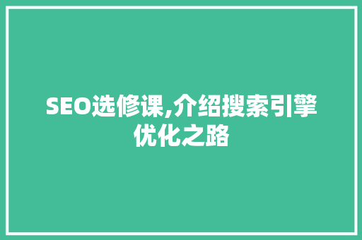 SEO选修课,介绍搜索引擎优化之路