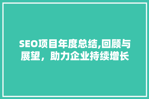 SEO项目年度总结,回顾与展望，助力企业持续增长