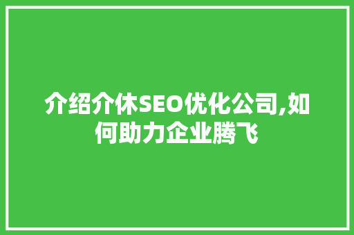 介绍介休SEO优化公司,如何助力企业腾飞