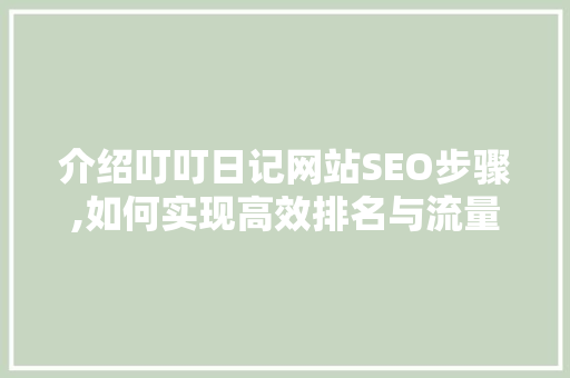介绍叮叮日记网站SEO步骤,如何实现高效排名与流量增长