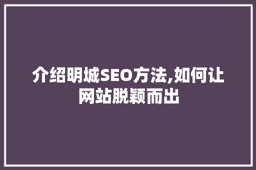 介绍明城SEO方法,如何让网站脱颖而出