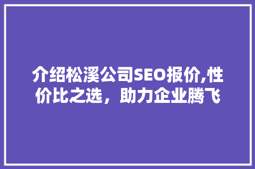 介绍松溪公司SEO报价,性价比之选，助力企业腾飞
