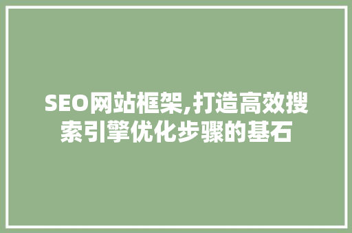 SEO网站框架,打造高效搜索引擎优化步骤的基石