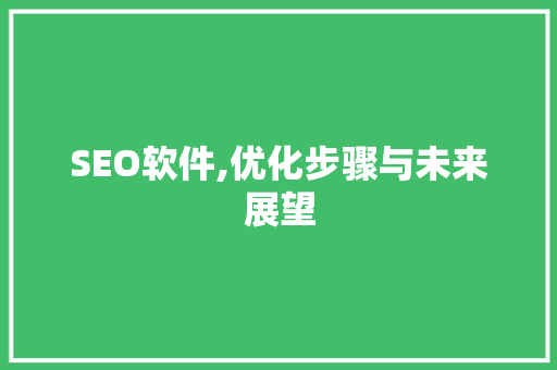 SEO软件,优化步骤与未来展望