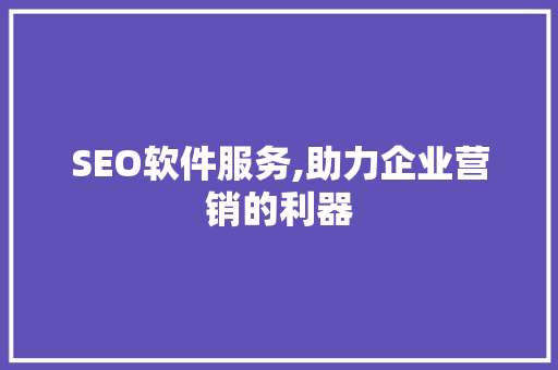 SEO软件服务,助力企业营销的利器