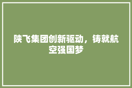 陕飞集团创新驱动，铸就航空强国梦