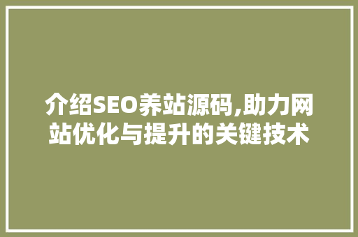 介绍SEO养站源码,助力网站优化与提升的关键技术