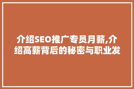 介绍SEO推广专员月薪,介绍高薪背后的秘密与职业发展路径