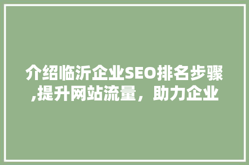 介绍临沂企业SEO排名步骤,提升网站流量，助力企业腾飞
