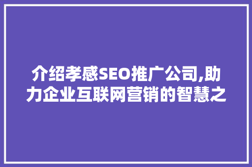 介绍孝感SEO推广公司,助力企业互联网营销的智慧之选
