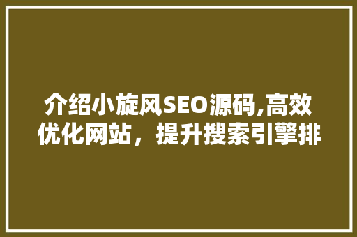介绍小旋风SEO源码,高效优化网站，提升搜索引擎排名的方法
