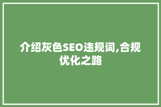介绍灰色SEO违规词,合规优化之路