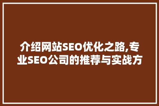 介绍网站SEO优化之路,专业SEO公司的推荐与实战方法