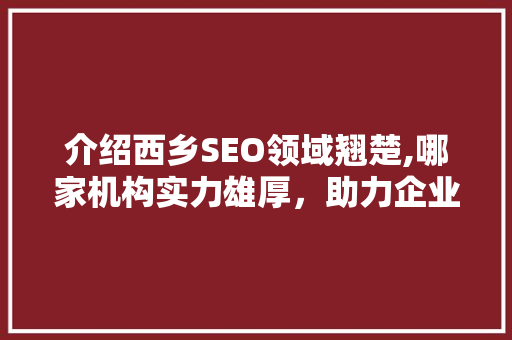介绍西乡SEO领域翘楚,哪家机构实力雄厚，助力企业腾飞
