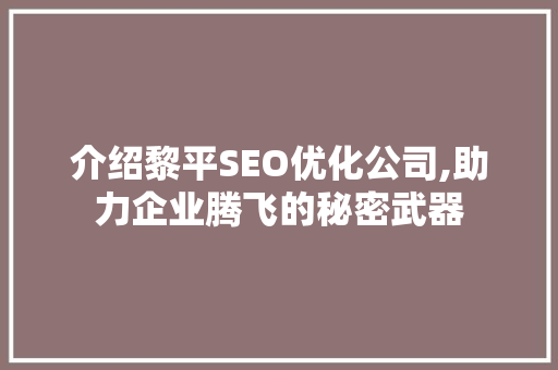 介绍黎平SEO优化公司,助力企业腾飞的秘密武器