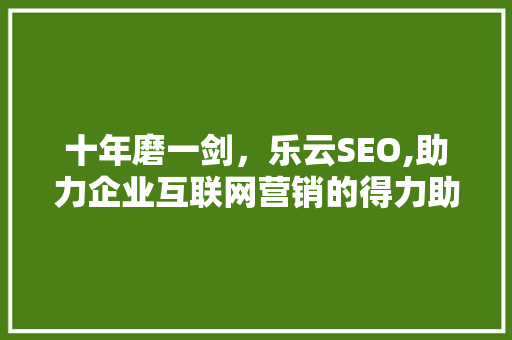 十年磨一剑，乐云SEO,助力企业互联网营销的得力助手