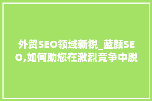 外贸SEO领域新锐_蓝颜SEO,如何助您在激烈竞争中脱颖而出