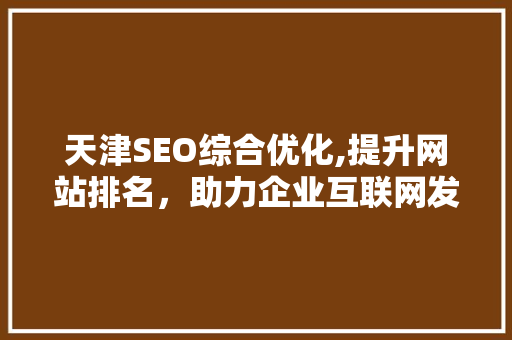 天津SEO综合优化,提升网站排名，助力企业互联网发展