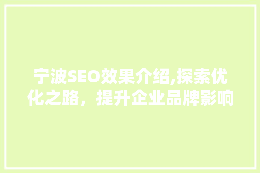 宁波SEO效果介绍,探索优化之路，提升企业品牌影响力