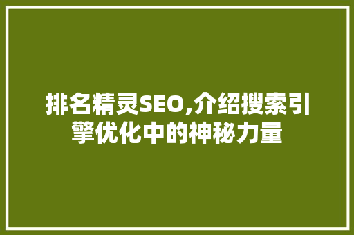 排名精灵SEO,介绍搜索引擎优化中的神秘力量