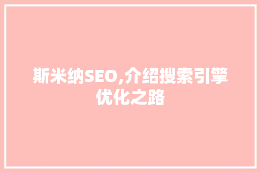 斯米纳SEO,介绍搜索引擎优化之路