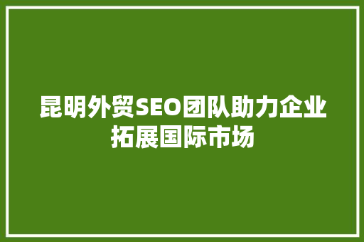 昆明外贸SEO团队助力企业拓展国际市场