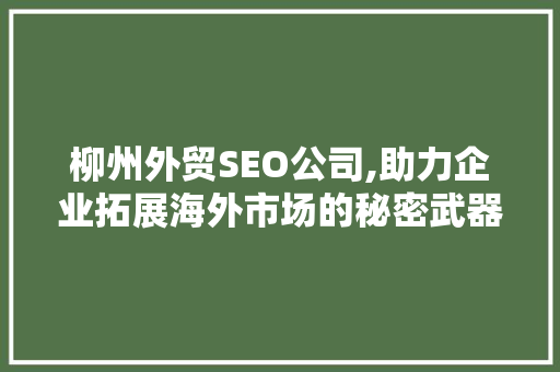 柳州外贸SEO公司,助力企业拓展海外市场的秘密武器