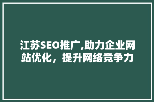 江苏SEO推广,助力企业网站优化，提升网络竞争力