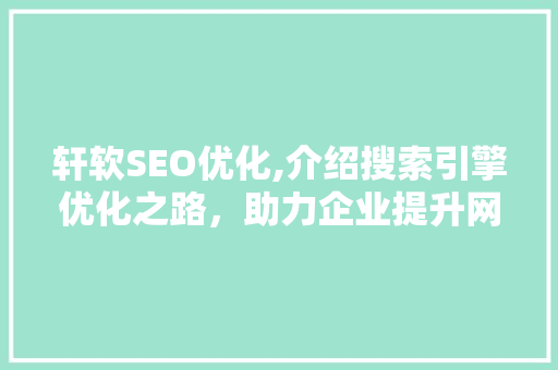 轩软SEO优化,介绍搜索引擎优化之路，助力企业提升网站流量