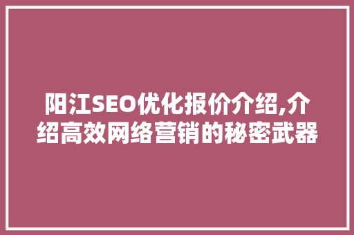 阳江SEO优化报价介绍,介绍高效网络营销的秘密武器