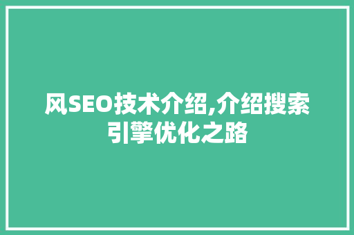 风SEO技术介绍,介绍搜索引擎优化之路