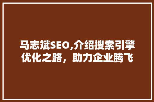 马志斌SEO,介绍搜索引擎优化之路，助力企业腾飞