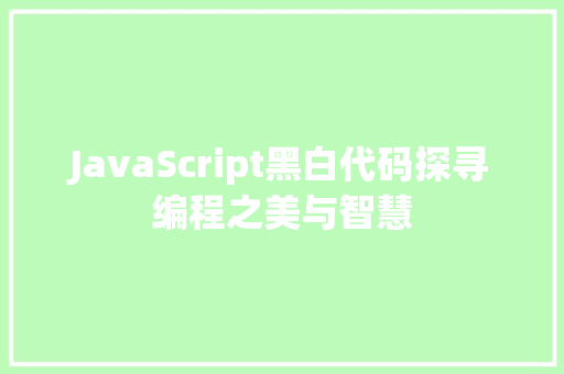 JavaScript黑白代码探寻编程之美与智慧