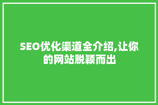 SEO优化渠道全介绍,让你的网站脱颖而出