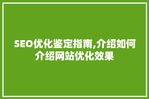 SEO优化鉴定指南,介绍如何介绍网站优化效果