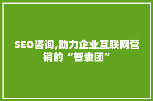SEO咨询,助力企业互联网营销的“智囊团”