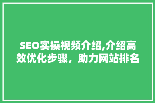SEO实操视频介绍,介绍高效优化步骤，助力网站排名飙升