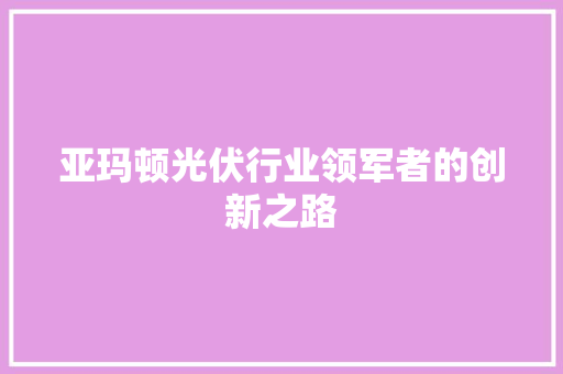 亚玛顿光伏行业领军者的创新之路