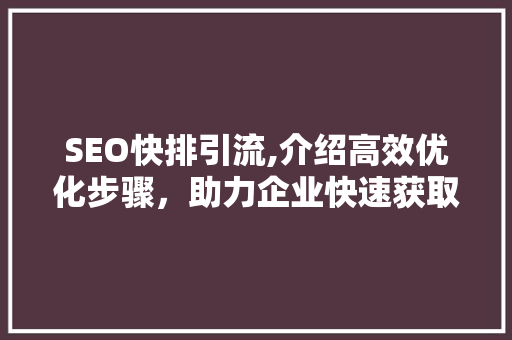 SEO快排引流,介绍高效优化步骤，助力企业快速获取精准流量